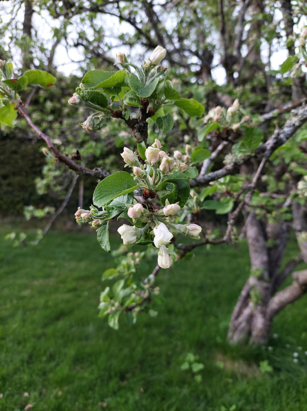 Don´t limit your challenge – challenge your&nbsp;limit.